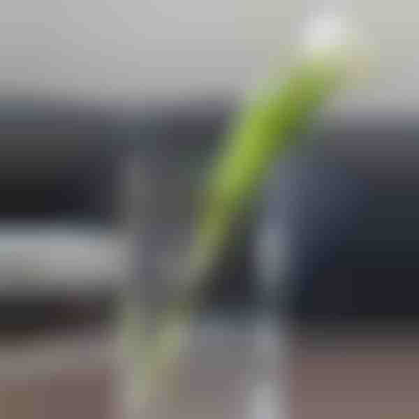 Κομψό βάζο σε σχήμα βιβλίου για λουλούδια | FLOWERFRAME