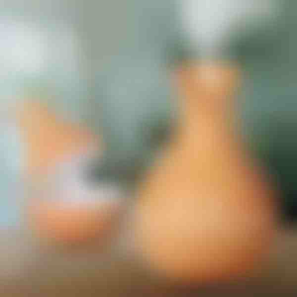 Ξύλινος υγραντήρας | HUMISTER