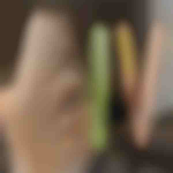 Σίδερο ισιώματος και συσκευή για μπούκλες TWISTLINE