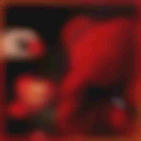 Το Δώρο που Μιλάει Αγάπη | LOVEBEAR